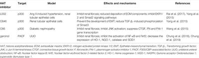 Histone Acetylation and Modifiers in Renal Fibrosis